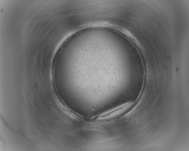 X0000072961232200608041144