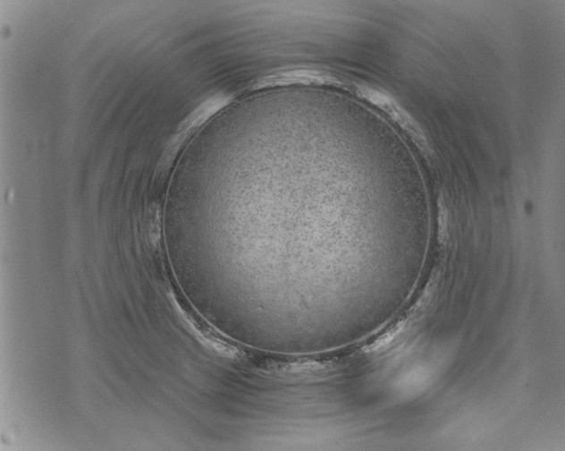 X0000072961233200608041144