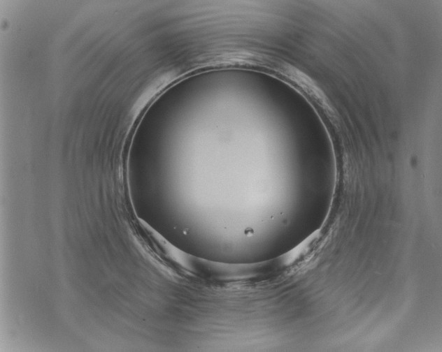 X0000072961234200608041144