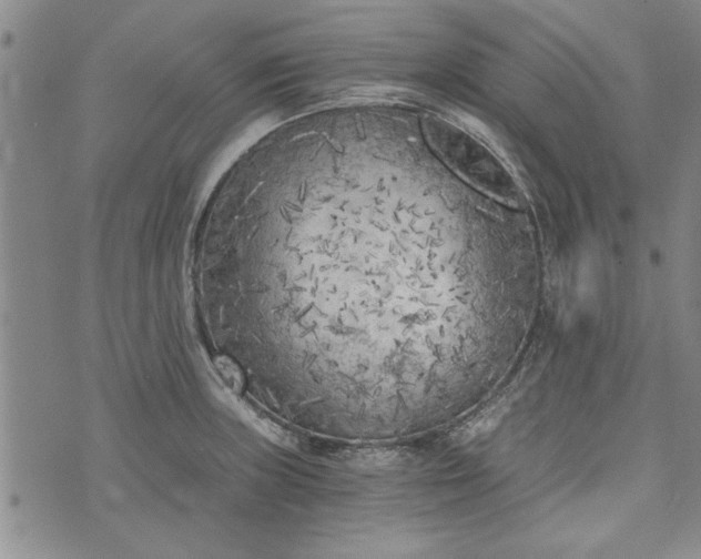 X0000072961235200608041145