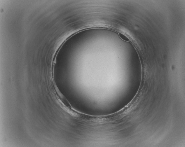 X0000072961236200608041145