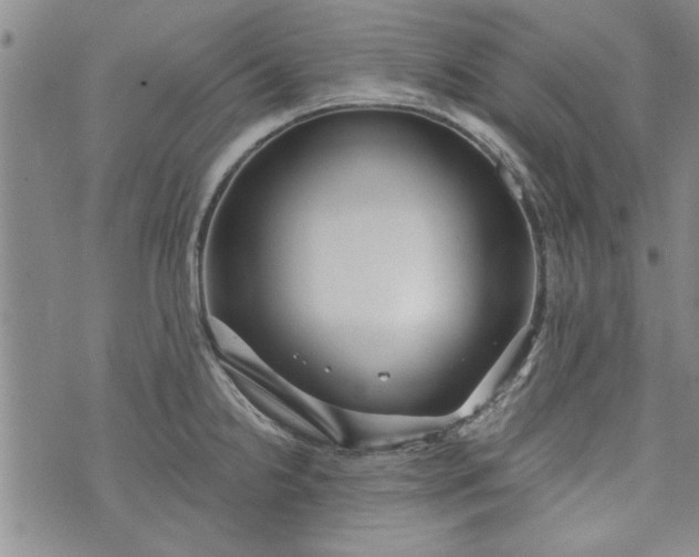 X0000072961238200608041145