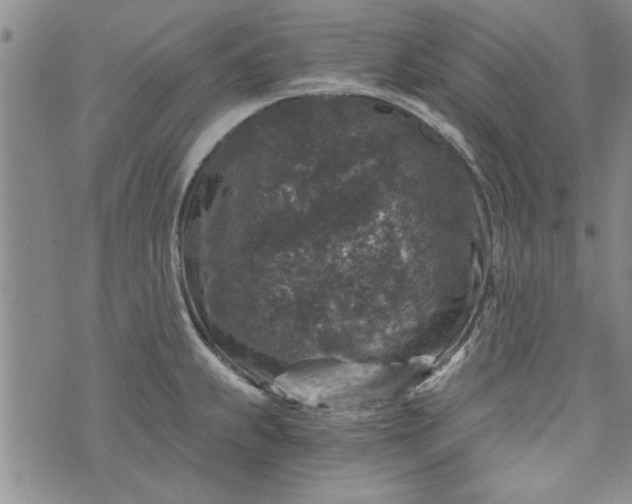 X0000072961239200608041145