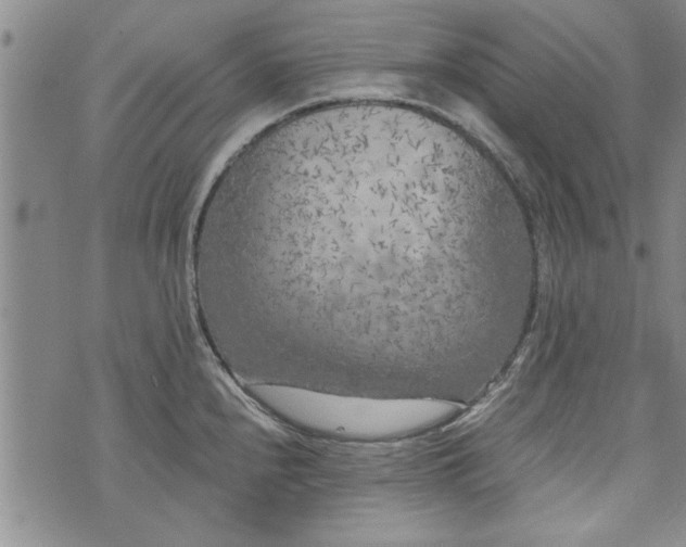 X0000072961240200608041145