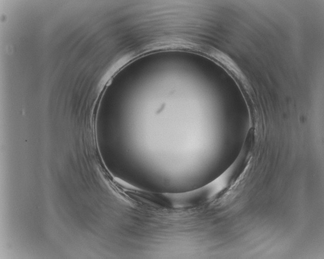 X0000072961242200608041145