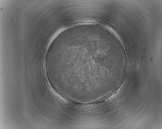 X0000072961243200608041145