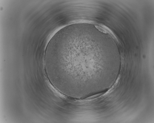 X0000072961244200608041145