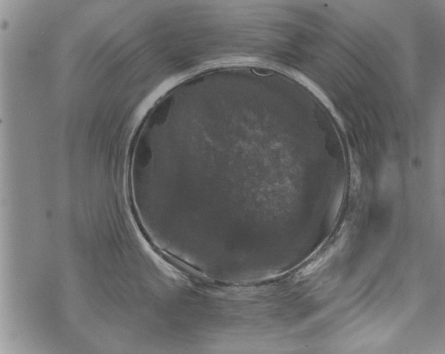 X0000072961245200608041145