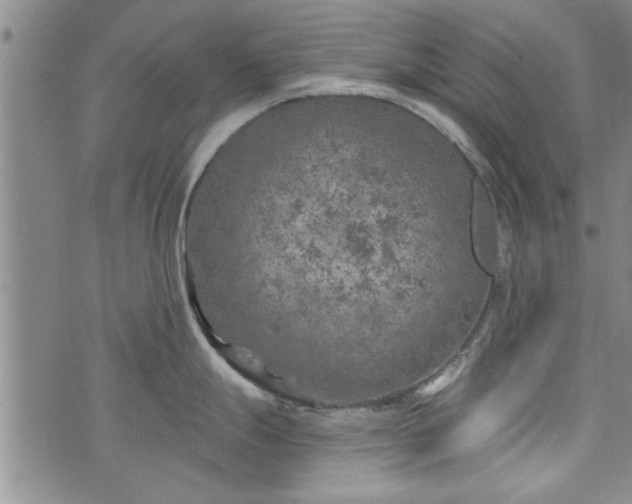 X0000072961247200608041145