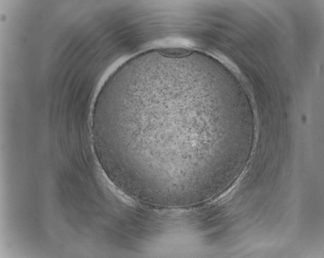 X0000072961248200608041145