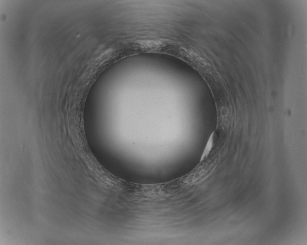 X0000072961249200608041144