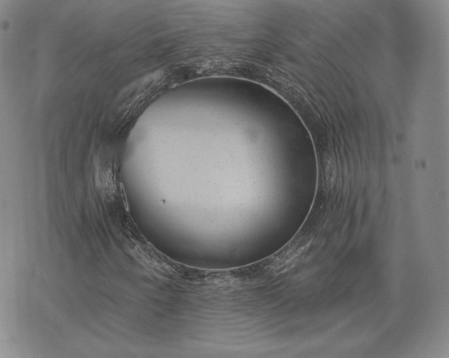 X0000072961250200608041144