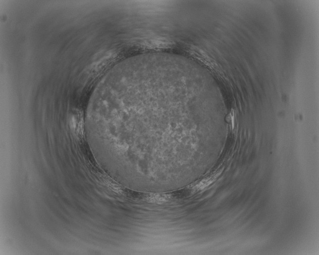 X0000072961251200608041144