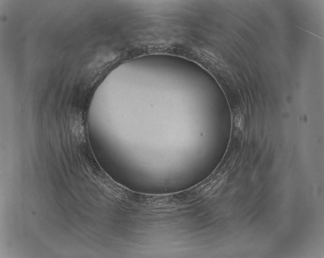 X0000072961252200608041144