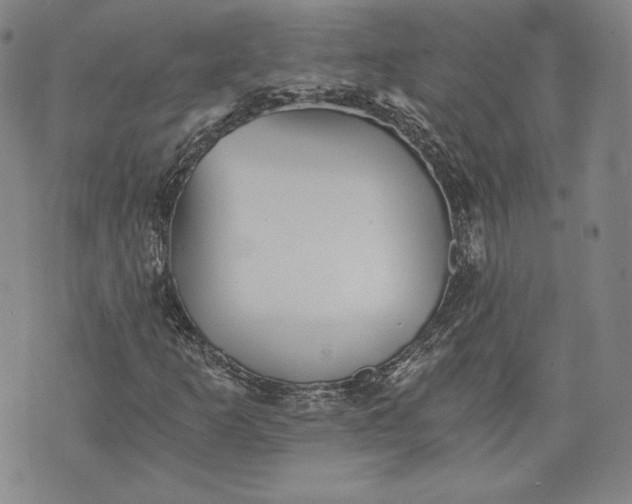 X0000072961253200608041144