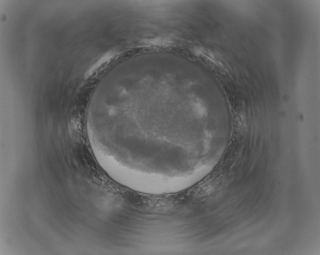 X0000072961254200608041144