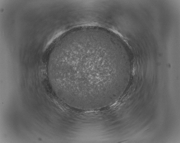 X0000072961255200608041144