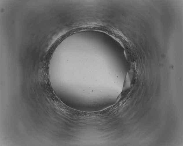 X0000072961256200608041144