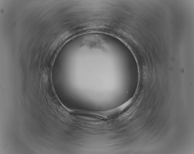 X0000072961257200608041144