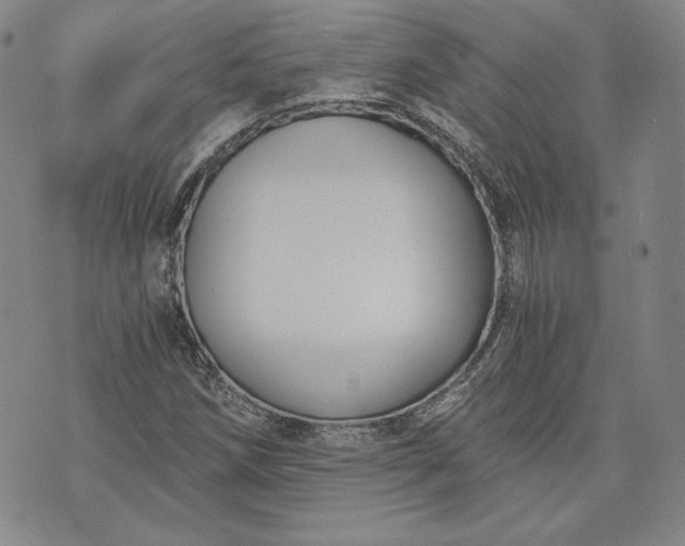 X0000072961258200608041144