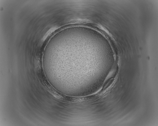 X0000072961259200608041144