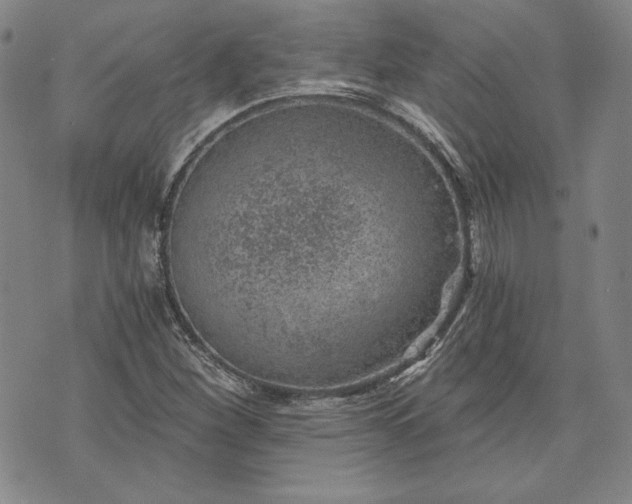 X0000072961260200608041144