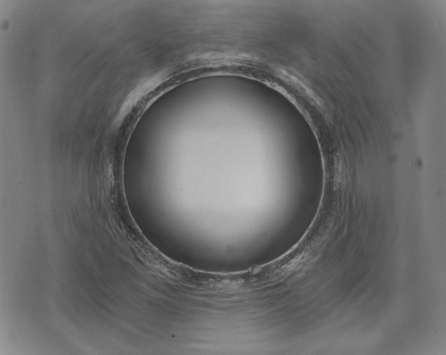 X0000072961261200608041144