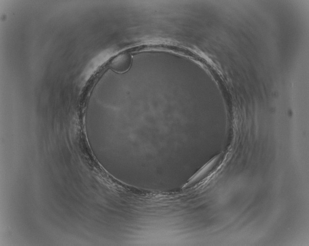 X0000072961263200608041144