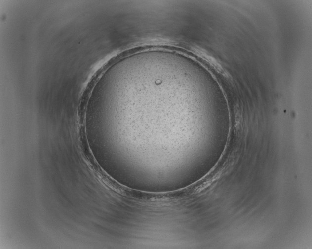 X0000072961264200608041144