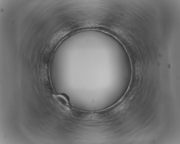 X0000072961265200608041144