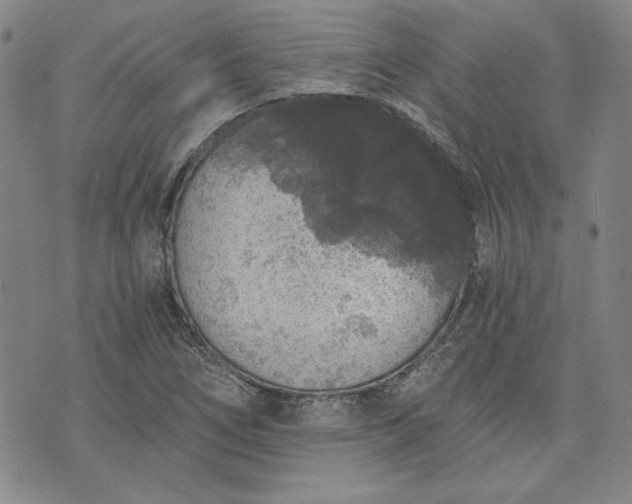 X0000072961266200608041144