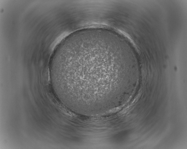 X0000072961267200608041144