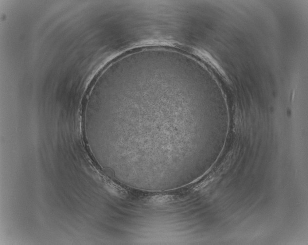 X0000072961268200608041144