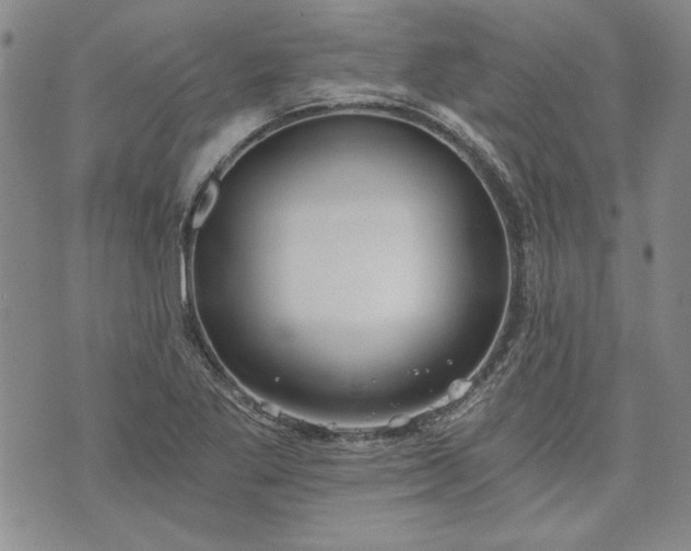 X0000072961269200608041144