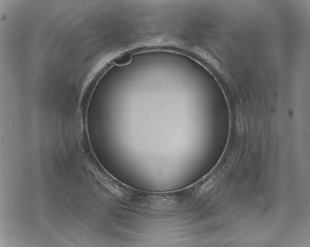 X0000072961270200608041144