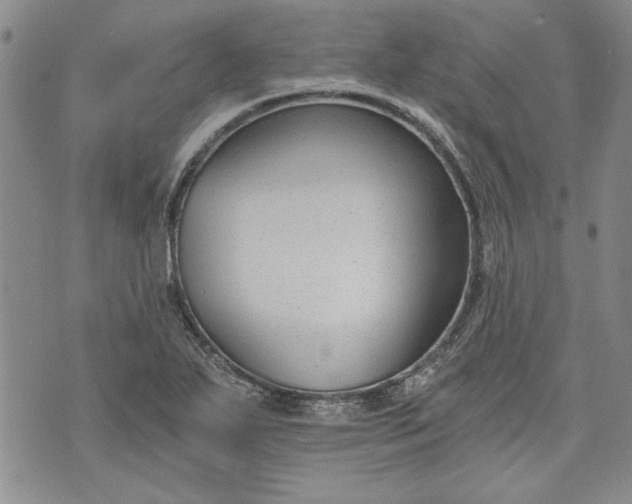 X0000072961271200608041144