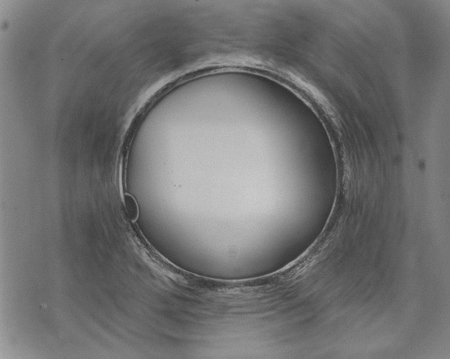 X0000072961272200608041144