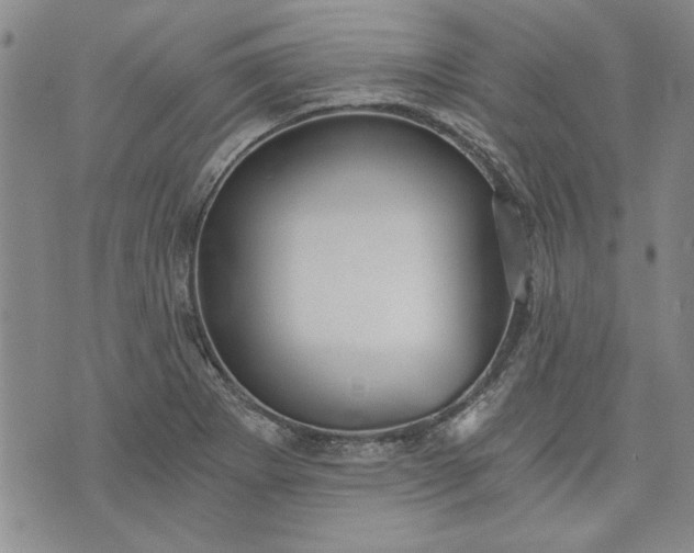 X0000072961273200608041144