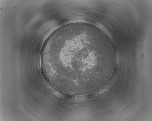 X0000072961274200608041144