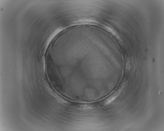 X0000072961275200608041144