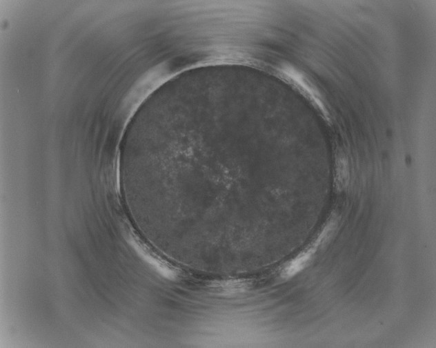 X0000072961276200608041143