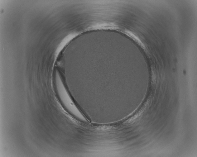 X0000072961277200608041143