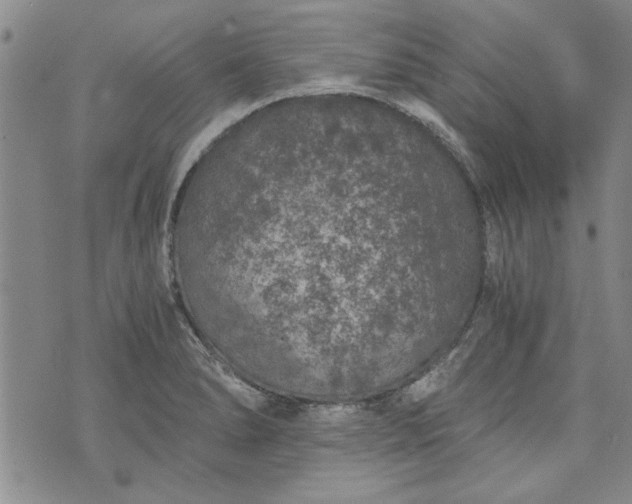 X0000072961278200608041143