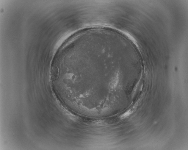 X0000072961279200608041143