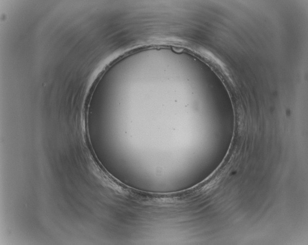 X0000072961280200608041143