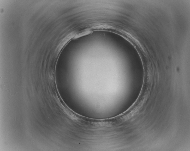 X0000072961281200608041143