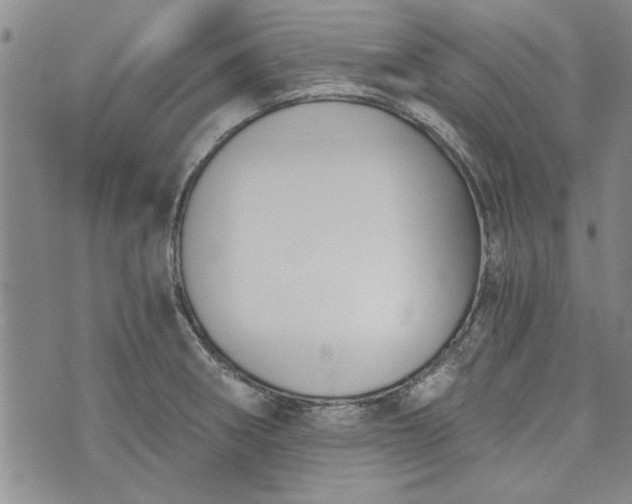 X0000072961282200608041143