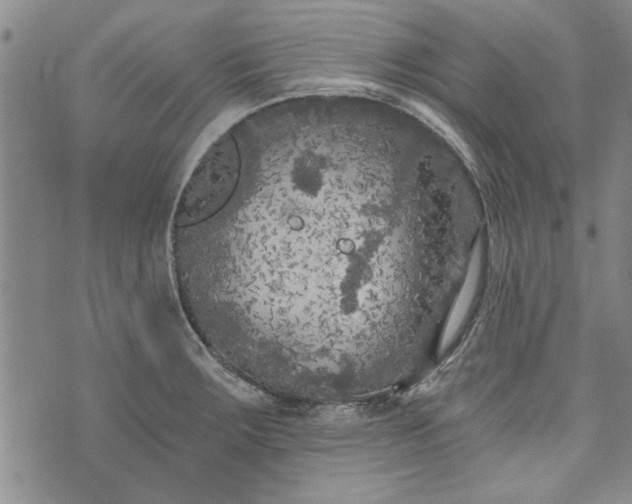 X0000072961283200608041143