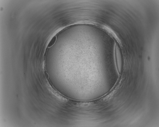 X0000072961284200608041143