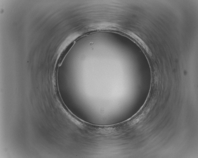 X0000072961285200608041143